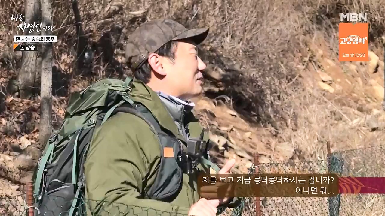 나는 자연인이다.E582.231130p-NEXT.mp4_20231130_200812.991.jpg