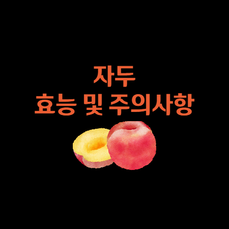 자두 효능 및 주의사항