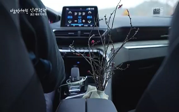 다큐 인사이트 - KBS인생정원 - 붉은 매화가 피면] 봄이면 가장 먼저, 그리고 가장 붉게 피어나는 강인한 소성의 매화.ts_20220818_205152.859.jpg