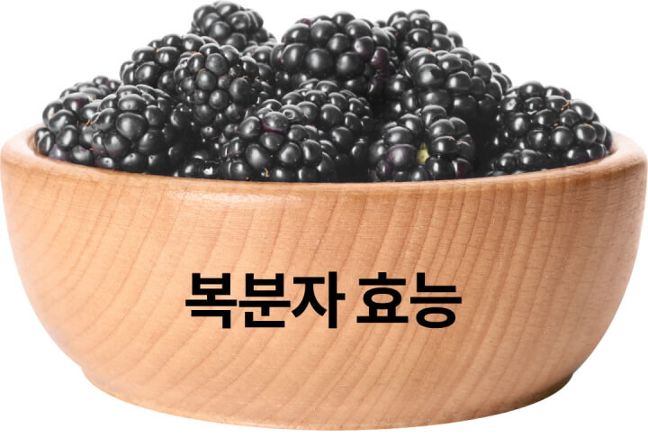 복분자효능