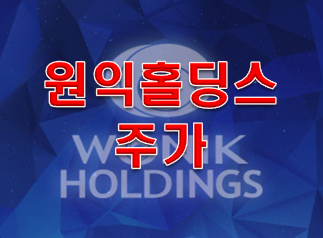  원익홀딩스 주가 이거 한번 사봐!!!