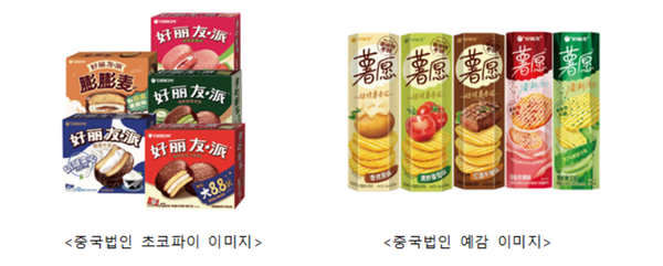 정글로벌 이미지
