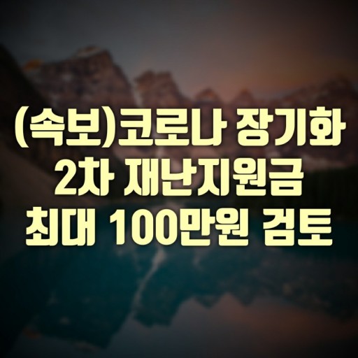  2차 재난지원금 지급