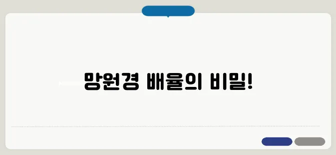 망원경 배율보는법 자세하고 정확하게 설명드릴게요