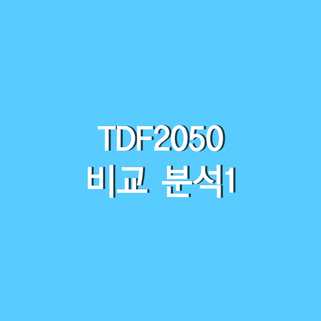 TDF2050 비교 분석1