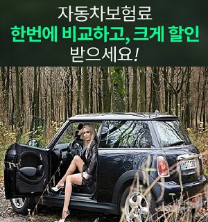  저렴한자동차보험 싼자동차보험 찾으신다면 여기추천!!