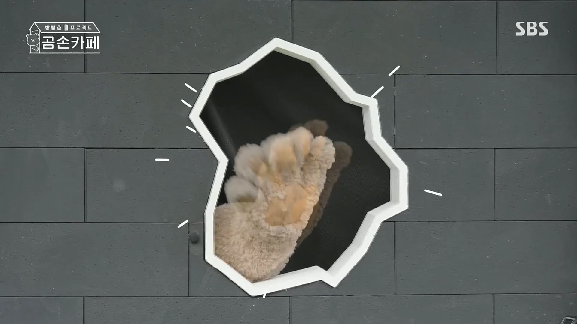 SBS 스페셜.E646.221023p.H264-F1RST.mp4_20221024_200632.820.jpg