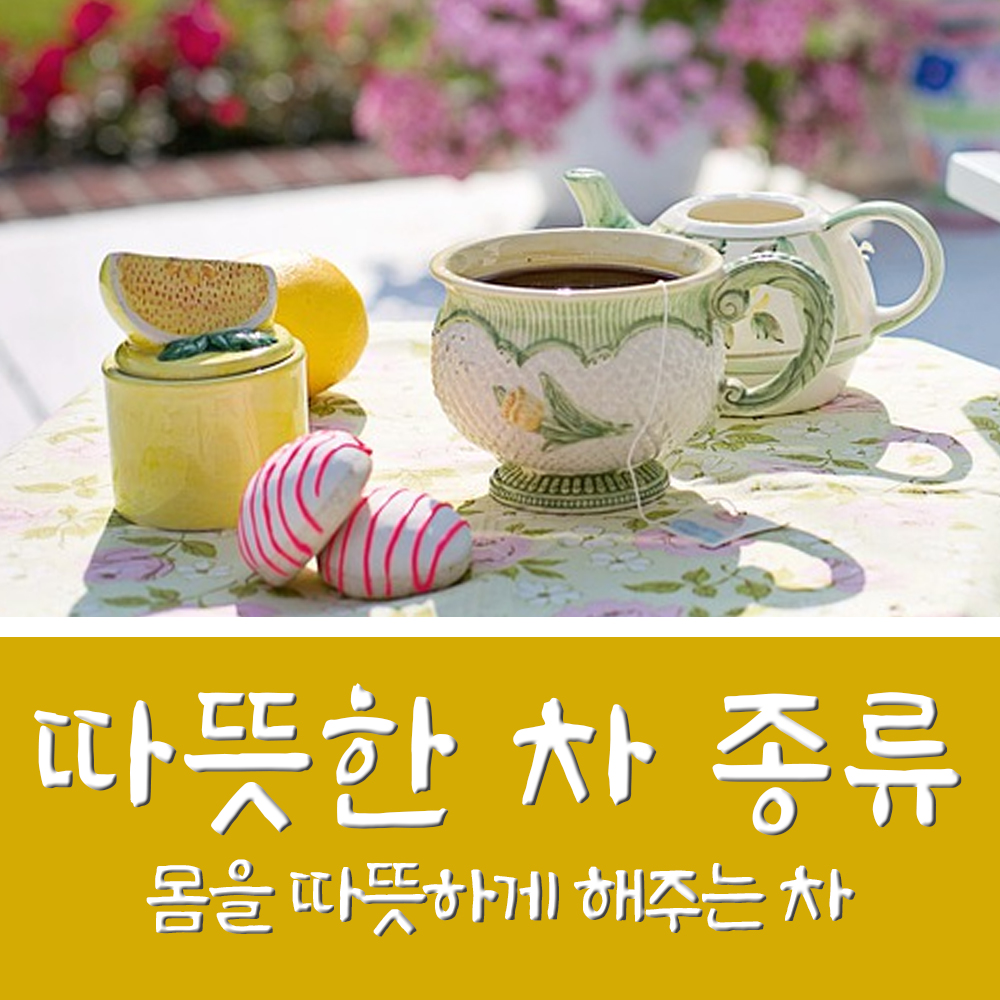  몸을 따뜻하게 하는 차 Best 7