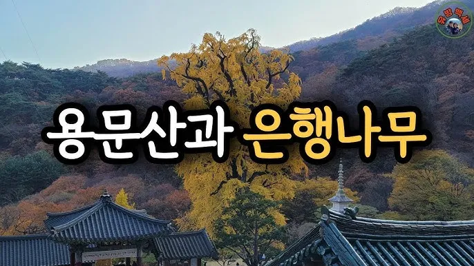 양평 가볼만한곳 베스트10 현지인 추천 필수코스_5
