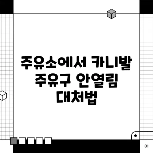 주유소에서 카니발 주유구 안열림 대처법