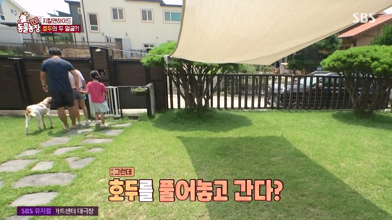 TV 동물농장.E1133.230814p-NEXT.mp4_20230813_171328.295.jpg