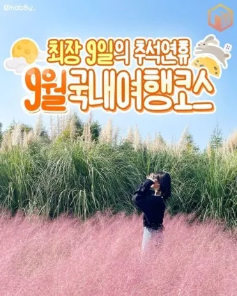 비행기 없이 떠나는 국내 숨은 여행지 발견하는 특별한 방법_17