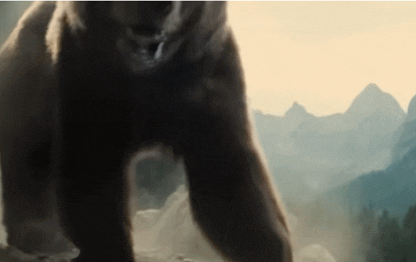  절벽에서 염소 사냥에 나선 곰...과연 잡을 수 있을까 VIDEO:No Predator Can Catch Mountain Goats !