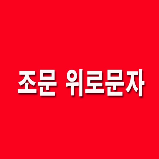  조문 위로문자 조문후 감사문자