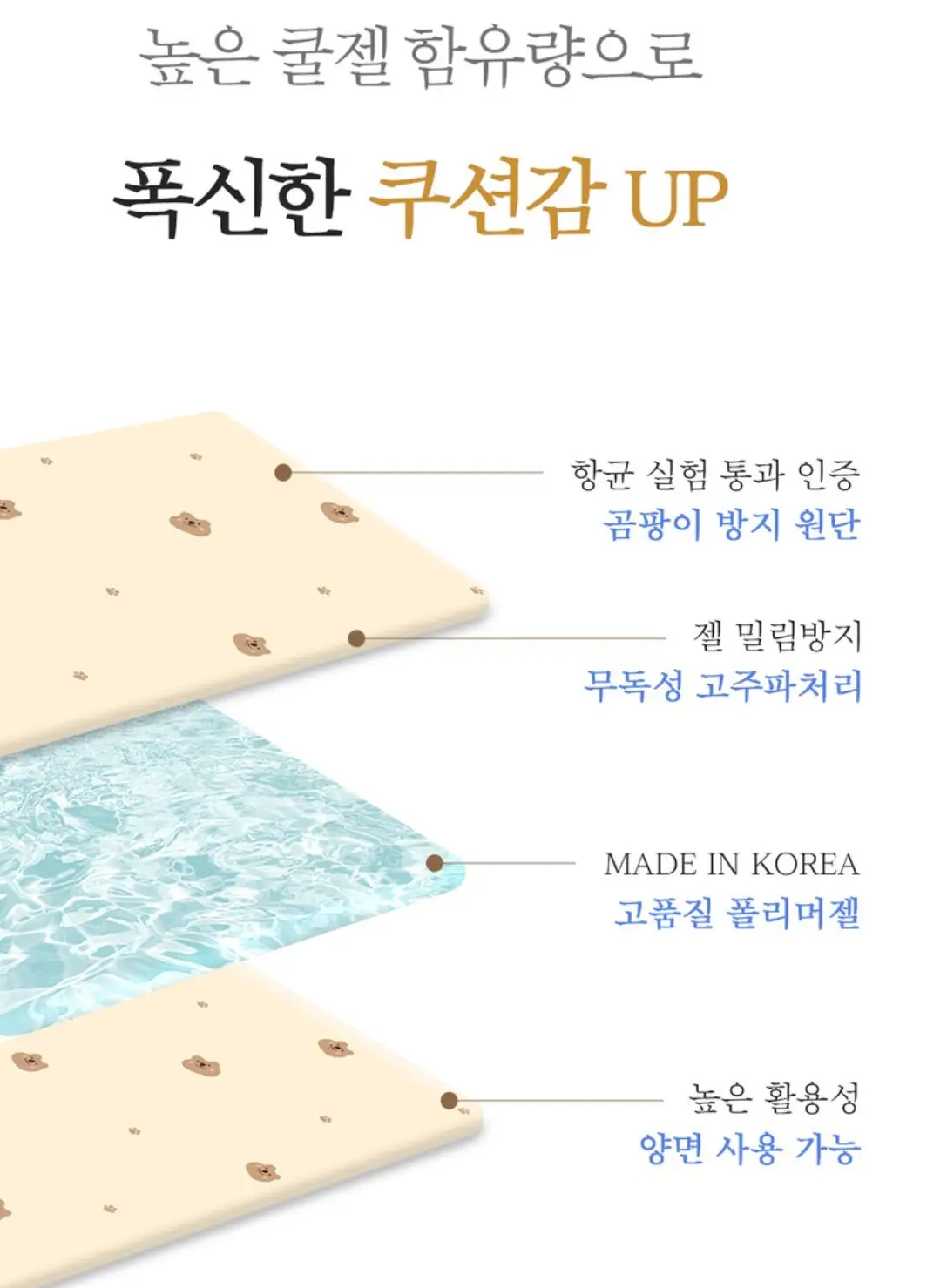 사진13