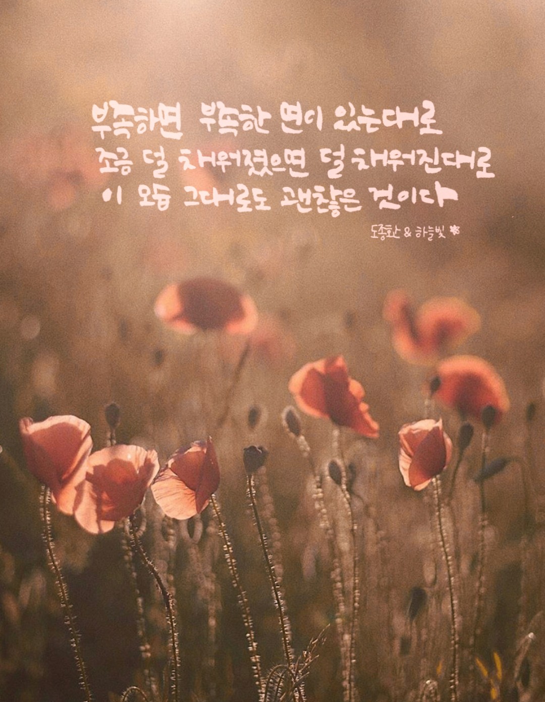  [사람은 누구나 꽃이다_도종환작가님]아껴읽고싶은 책