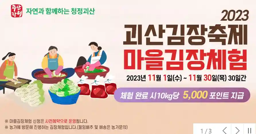 절임배추 20kg 가격 비교 사전 예약