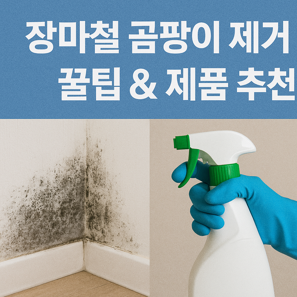 장마철 곰팡이 제거 비법 &amp; 추천템 총정리