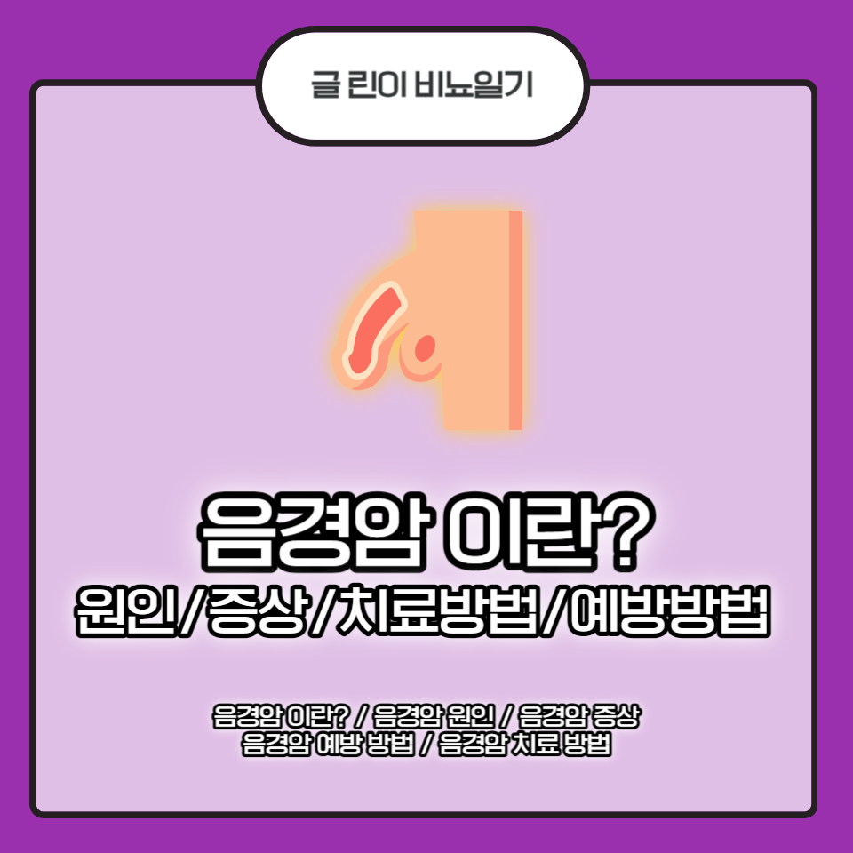  음경암 이란? 원인/증상/치료 방법/예방 방법