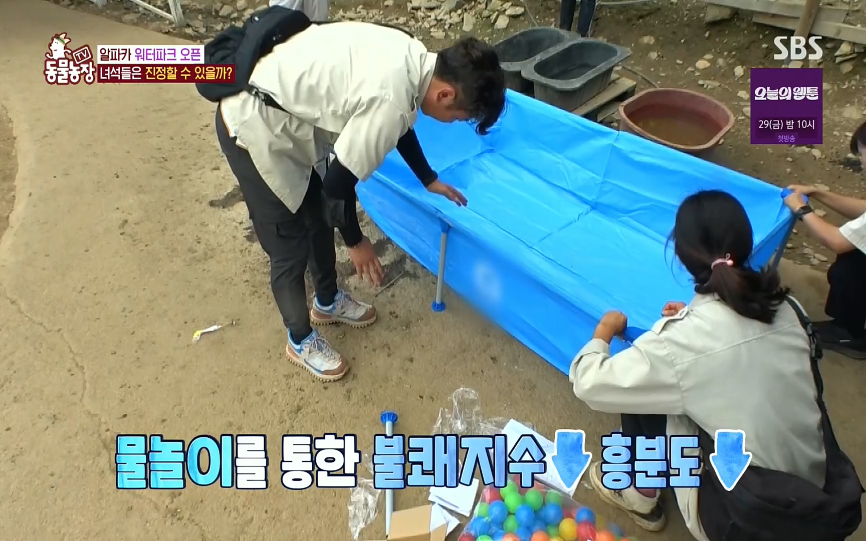 TV 동물농장.E1078.220717p.H264-F1RST.mp4_20220717_151151.525.jpg