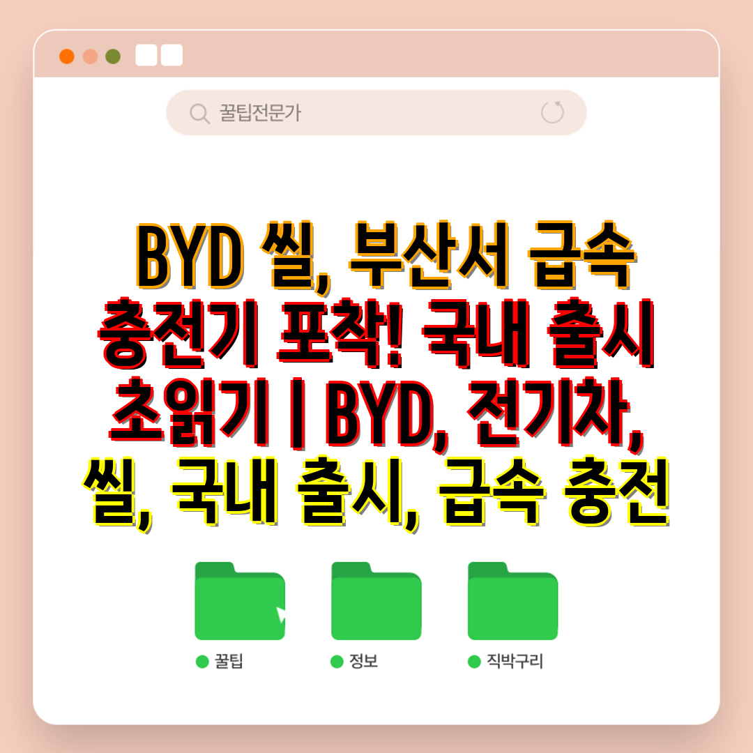  BYD 씰, 부산서 급속 충전기 포착! 국내 출시 초