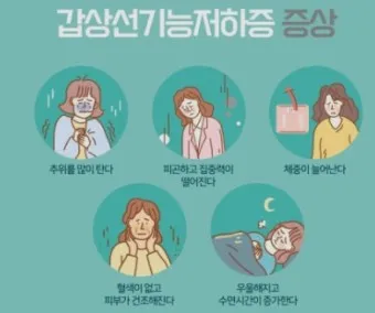 갑상샘 저하증 갑상선 기능저하증 증상 수치 치료_23