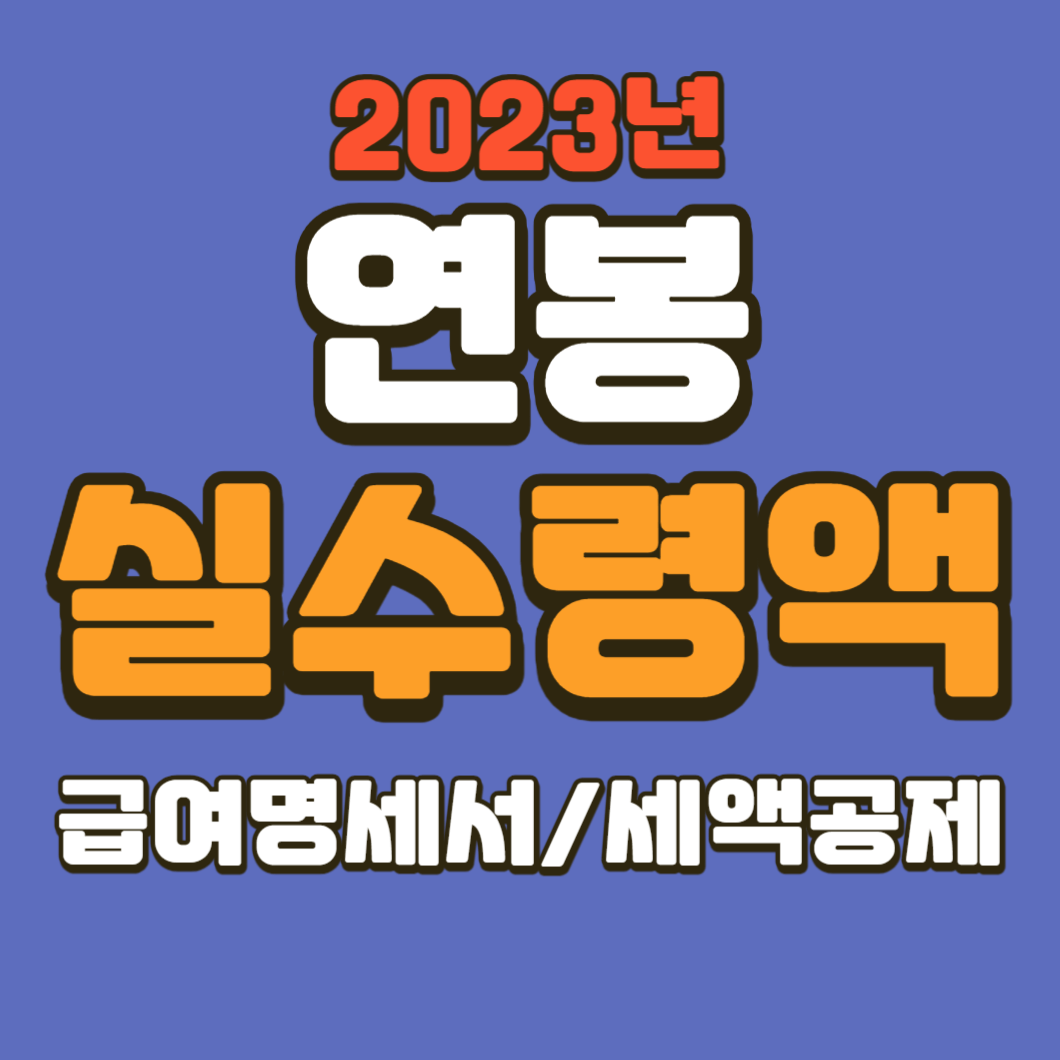 2023 연봉 실수령액