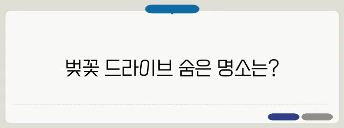 벚꽃 드라이브 명소 추천! 전국 벚꽃길 BEST 7