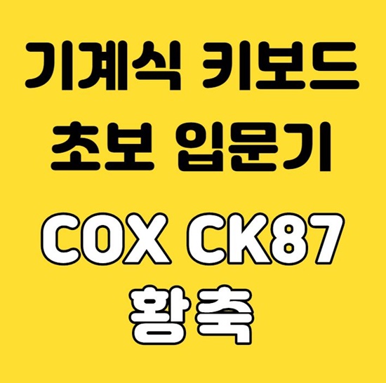  기계식 키보드 입문기 COX CK87 황축