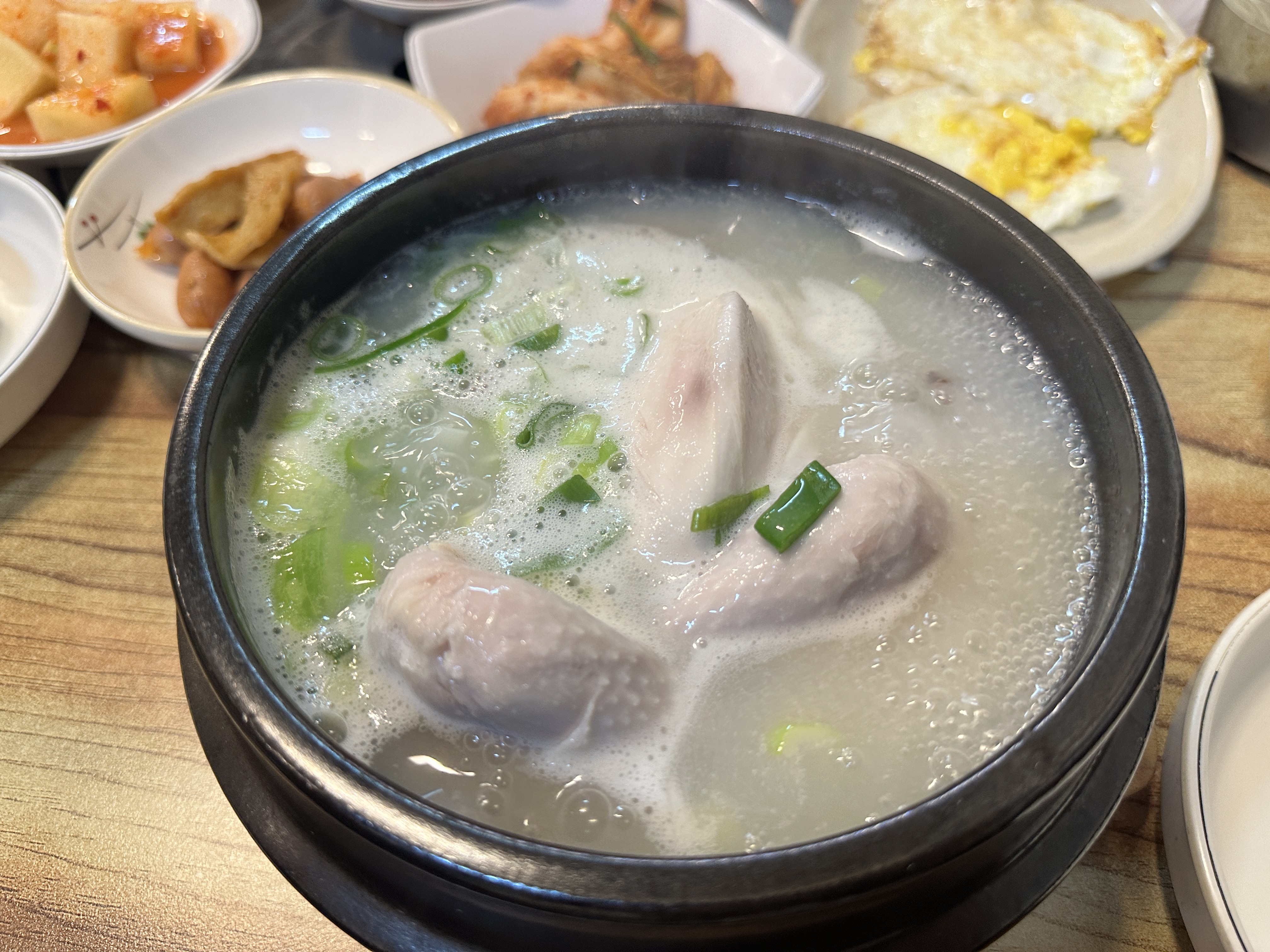  [올삼] 파주 삼계탕 맛집에서 든든하게 몸 보신 하세요