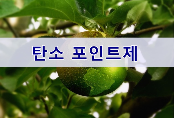  탄소포인트제, 이산화탄소 줄여서 인센티브 받는방법