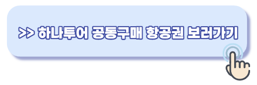 하나투어 공동구매 항공권
