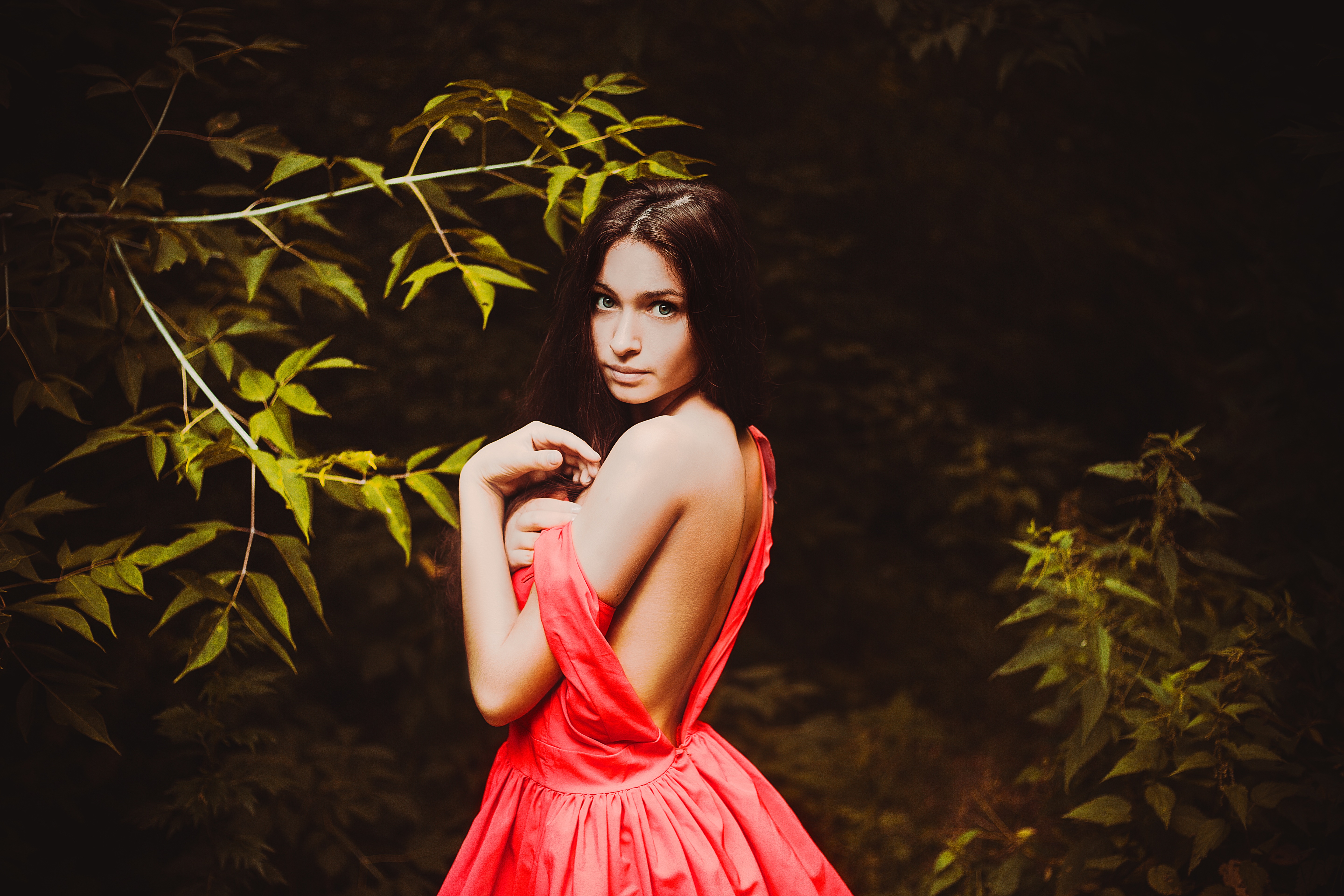 숲 속에서의 붉은 드레스