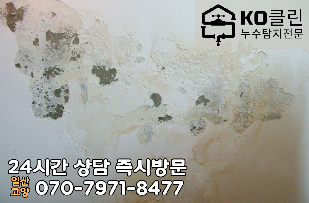 구산동 아파트2
