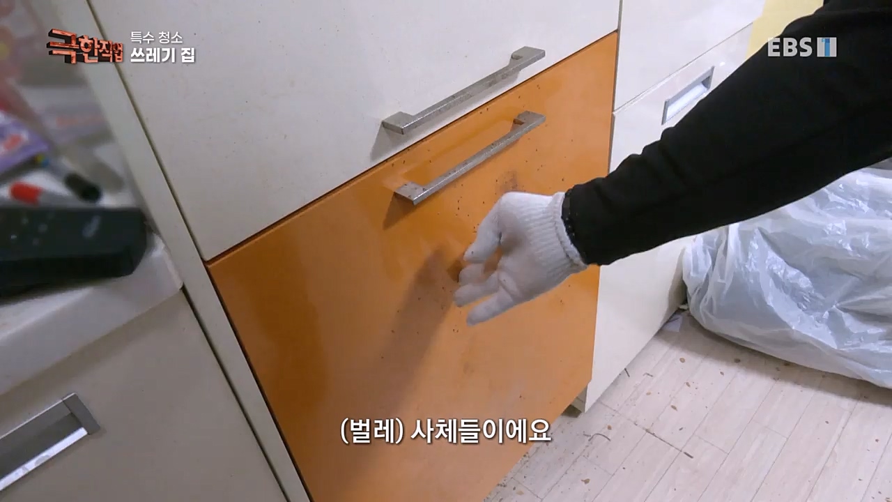 TV - 교육의 중심 EBS특수 청소.mp4_20230301_174708.807.jpg