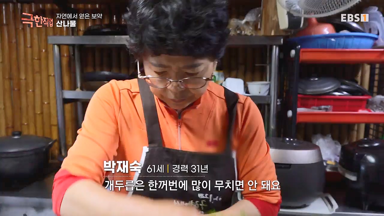 TV - 전 국민의 평생학교 EBS자연에서 얻은 보약, 상황버섯과 산나물, 쌍화차.mp4_20240615_172250.239.jpg