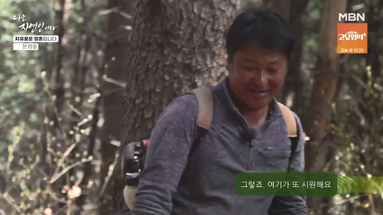 나는 자연인이다.E604.240509p-NEXT.mp4_20240509_195717.191.jpg