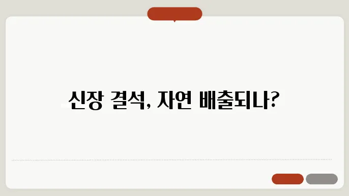 신장 결석 증상과 치료법 자연 배출 가능할까