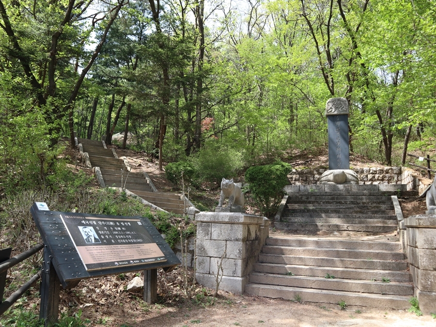 유림선생-묘역