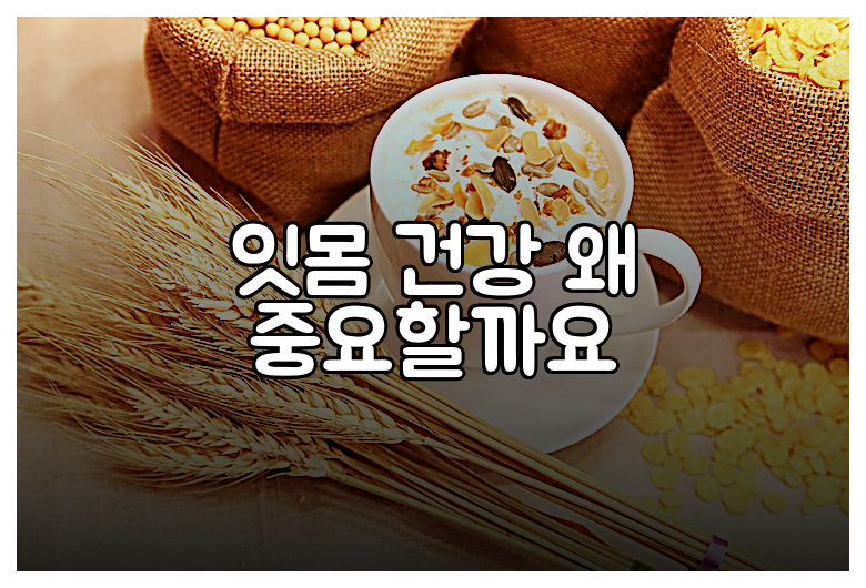 잇몸 건강 왜 중요할까요