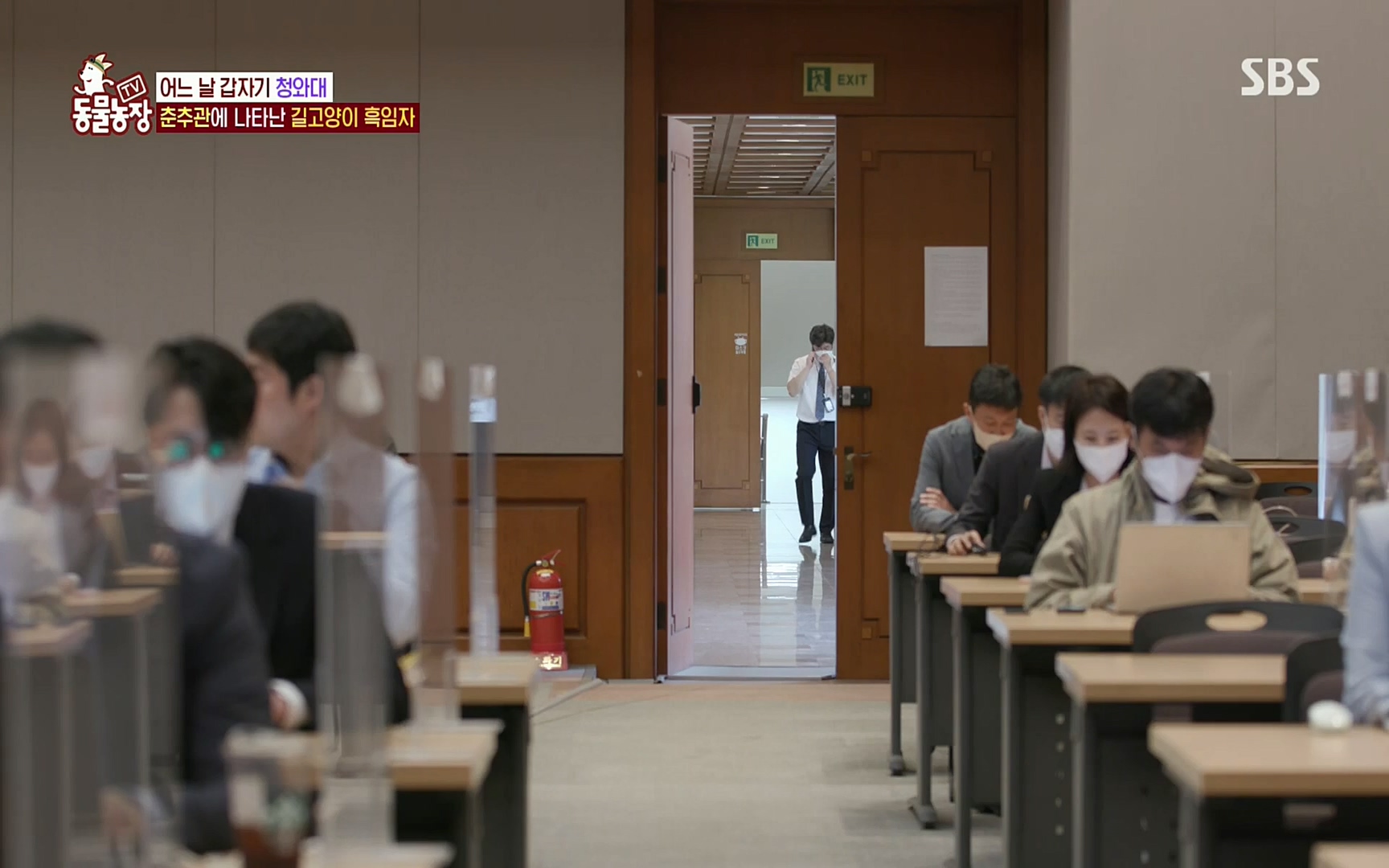 TV 동물농장.E1072.220605p.H264-F1RST.mp4_20220605_181434.415.jpg