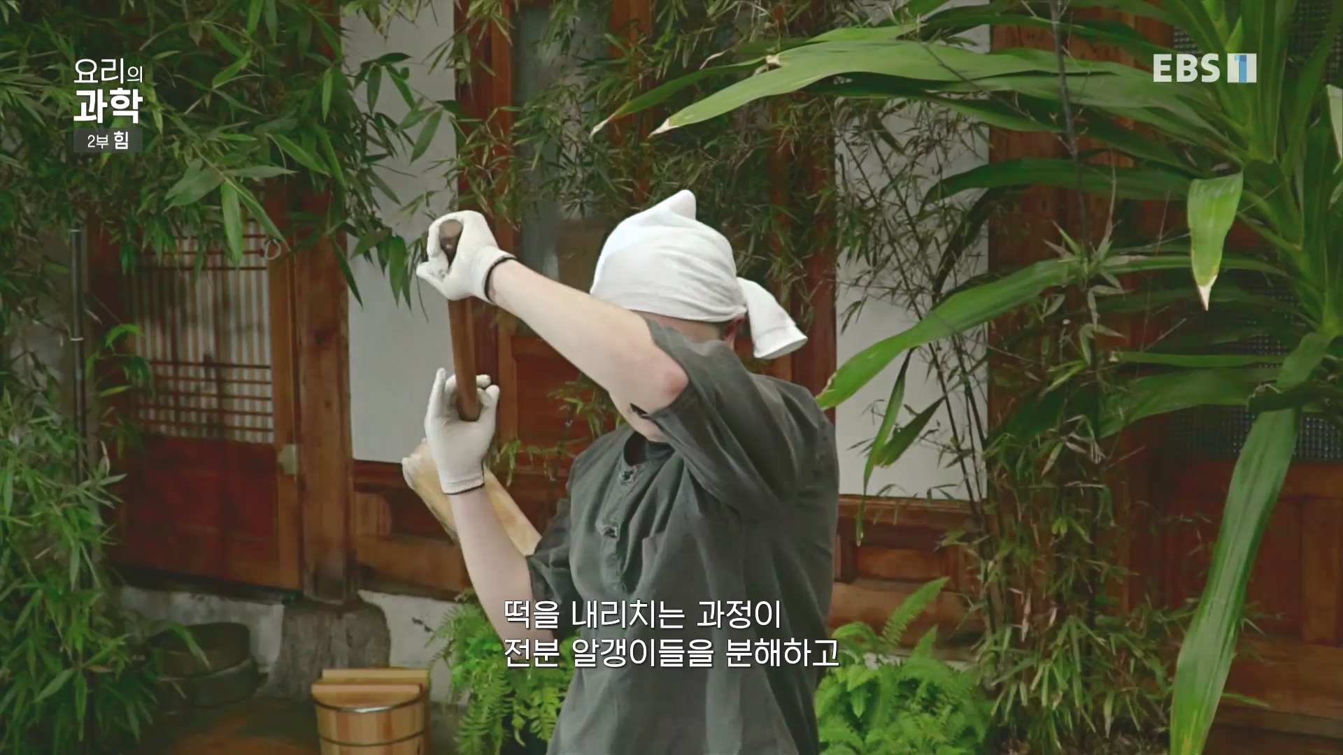 EBS 다큐프라임.201201.요리의 과학 - 2부 힘0p.mp4_20240411_200617.547.jpg