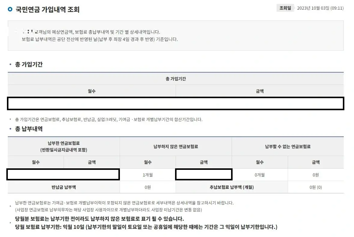 국민연금가입내역기간