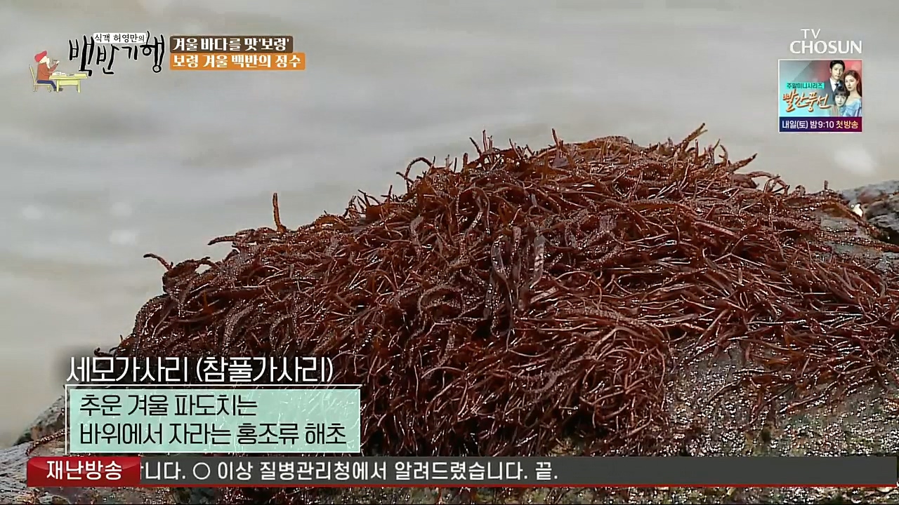 식객 허영만의 백반기행.E180.221217p.H264-F1RST.mp4_20221217_172844.836.jpg