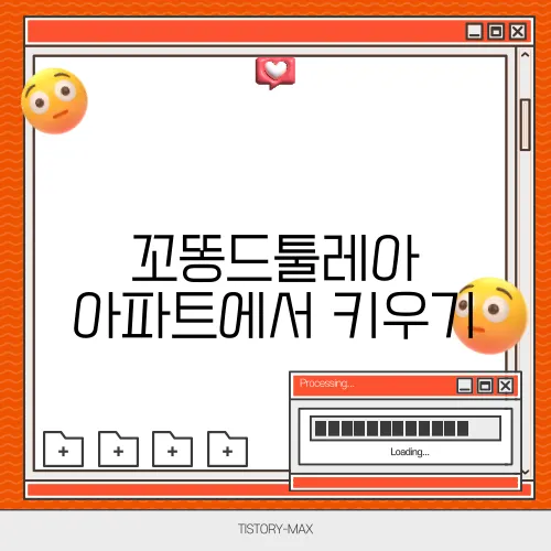 꼬똥드툴레아 아파트에서 키우기