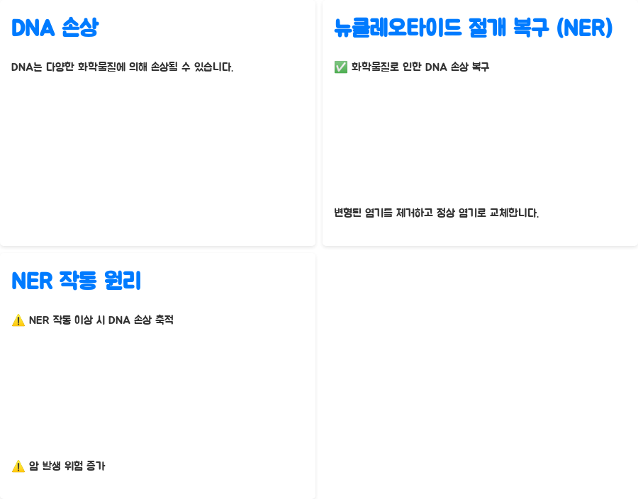 DNA 복구 실패가 부르는 질병: 암, 노화, 유전병의 비밀 - DNA 손상과 복구 기전: 세포가 가진 자가 치유 능력 - 뉴클레오타이드 절개 복구 (Nucleotide Excision Repair): 화학물질로 인한 손상 복구하기 DNA 복구 실패가 부르는 질병: 암, 노화, 유전병의 비밀 - DNA 손상과 복구 기전: 세포가 가진 자가 치유 능력 - 뉴클레오타이드 절개 복구 (Nucleotide Excision Repair): 화학물질로 인한 손상 복구하기