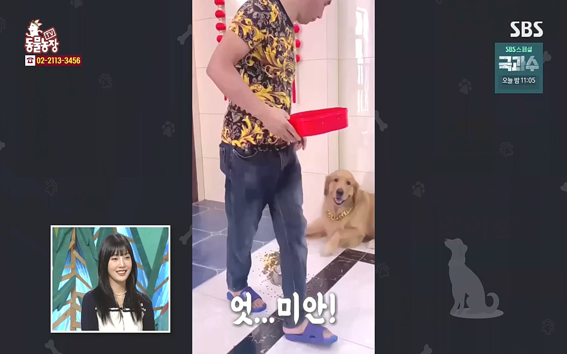 TV 동물농장.E1090.221010p-NEXT.mp4_20221009_182009.018.jpg
