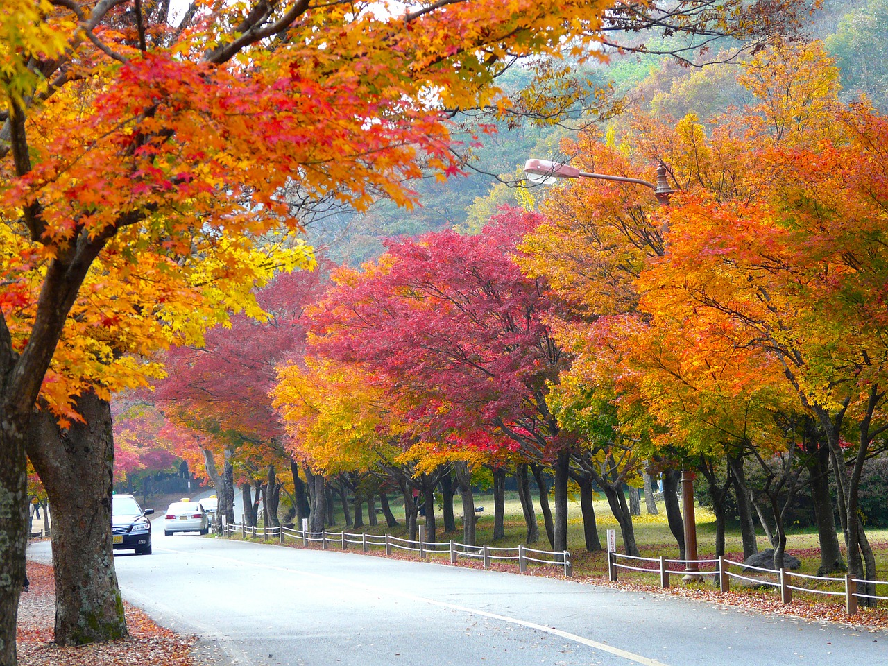 단풍 명소 내장산