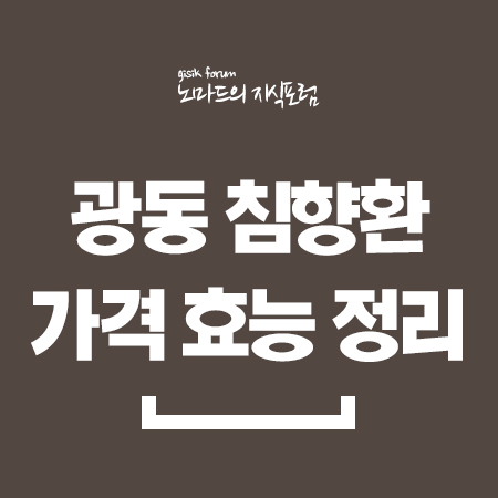  광동 침향환 가격 효능 정리