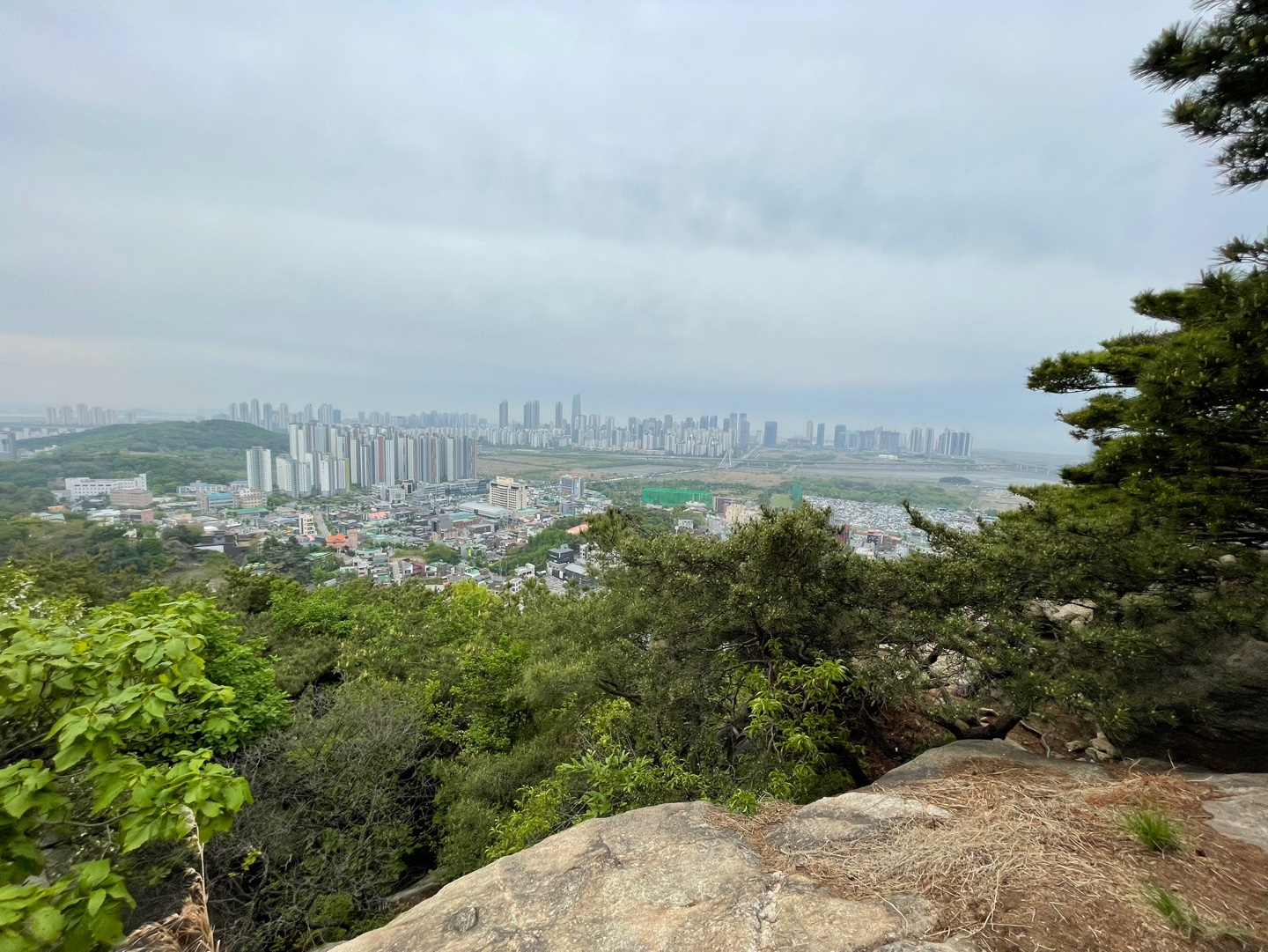  일상의 정보